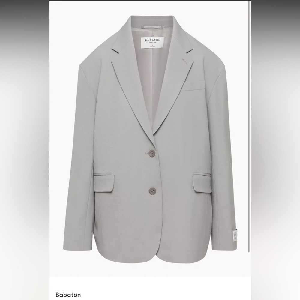 Aritzia - Babaton oversized Paloma blazer